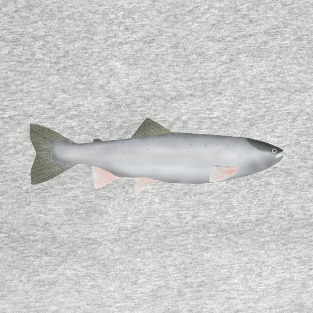 Steelhead - Ocean Phase by FishFolkArt